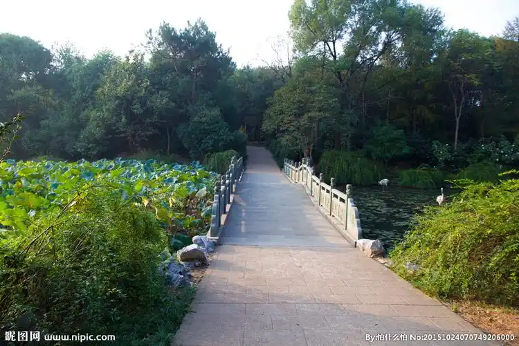 rgb100共享分×关 键 词:荷塘 柳树 池塘 荷叶 蓝天 白云 残荷 小桥