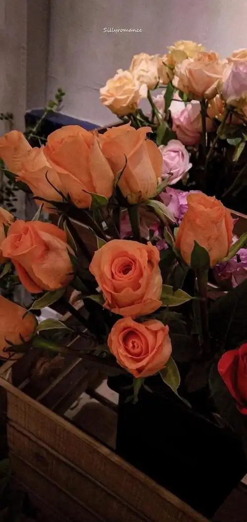 ins背景图治愈系(超治愈ins风壁纸)