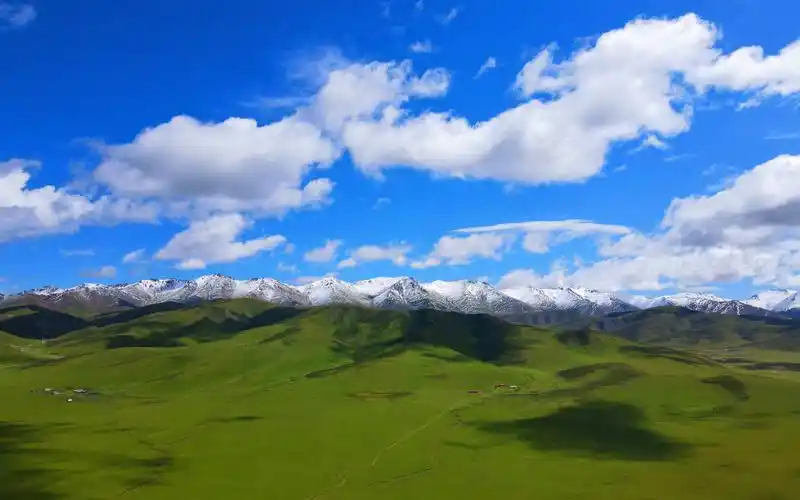 草原雪山,蓝天白云.欣赏一下青海祁连大草原的壮丽美景