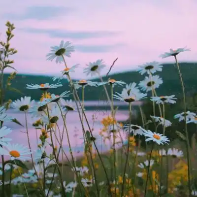 小清新自然风景头像18