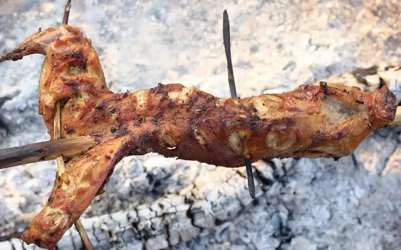 【户外烤兔】海边林子烤兔子,金黄酥脆