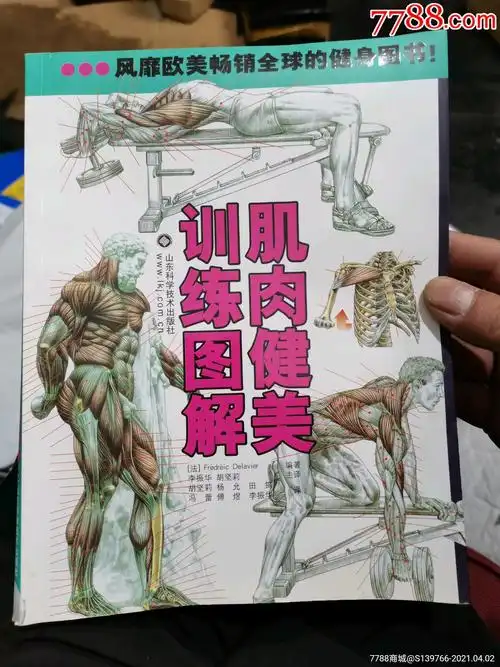 肌肉健美训练图解