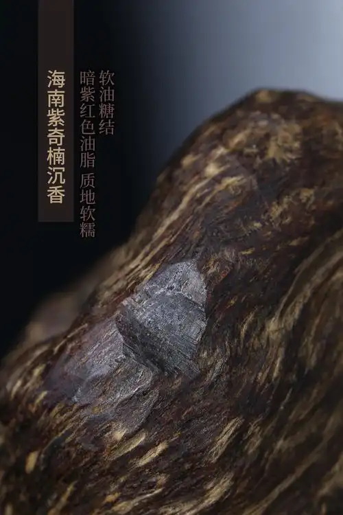 行内对奇楠沉香的定义,附高清微距图,建议收藏