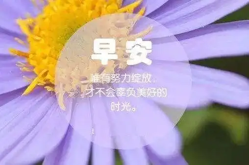 早安图片唯美带字