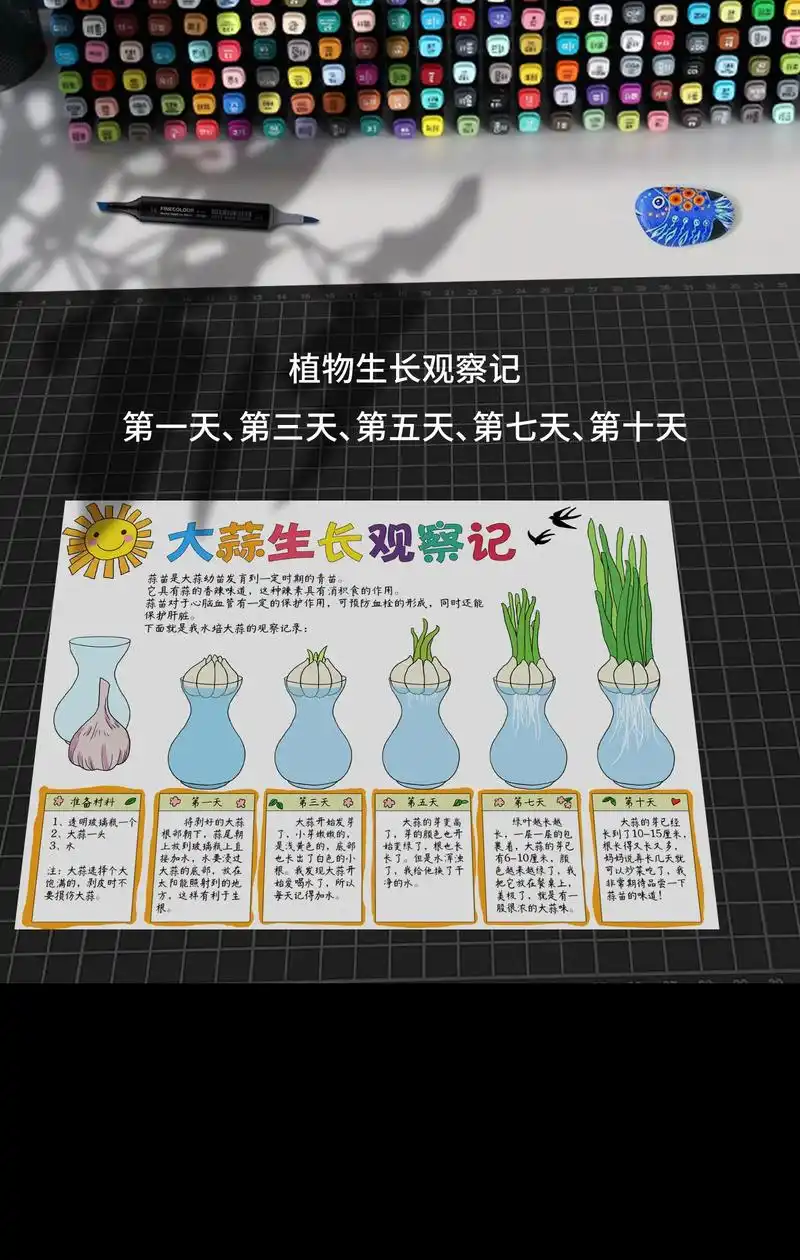 植物生长观察日记配图照片.