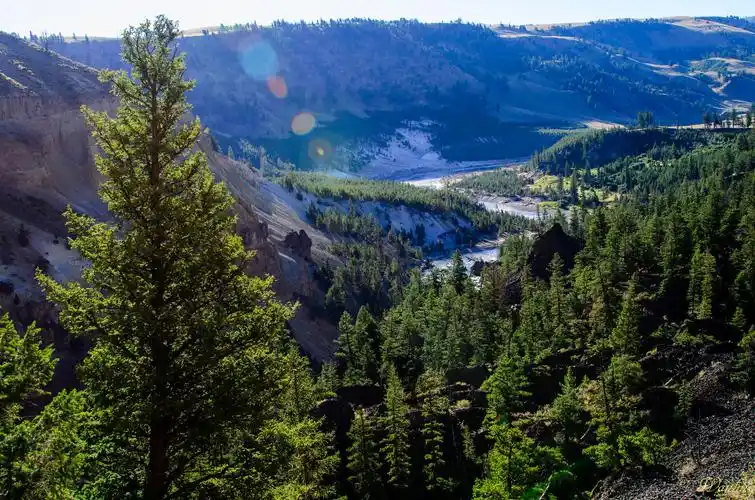 其它 美国黄石国家公园, (自驾游) 写美篇       美国黄石公园除了