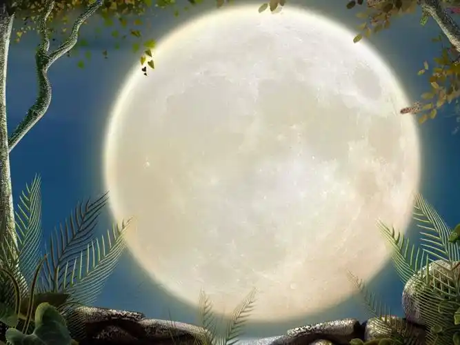 素材下载(编号:1249276)_实拍视频月亮图案手绘弯月月亮图片大全壁纸