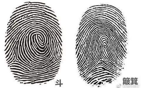 10个簸箕的女人是凤命 9个斗1个簸箕是什么命