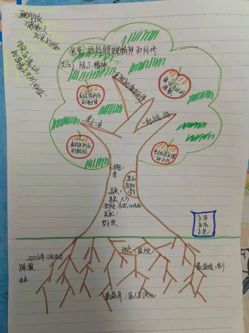 心理赋能《我的生命树》 生命树千姿百态 但每一棵树都向阳而生 能量