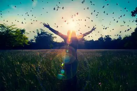太阳问候, 自由理念,象征着自由和自由飞翔的鸟的灵感的手照片