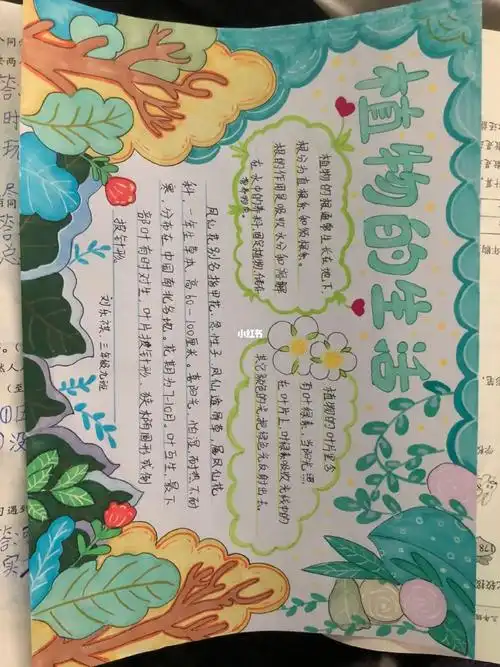 科学手抄报植物