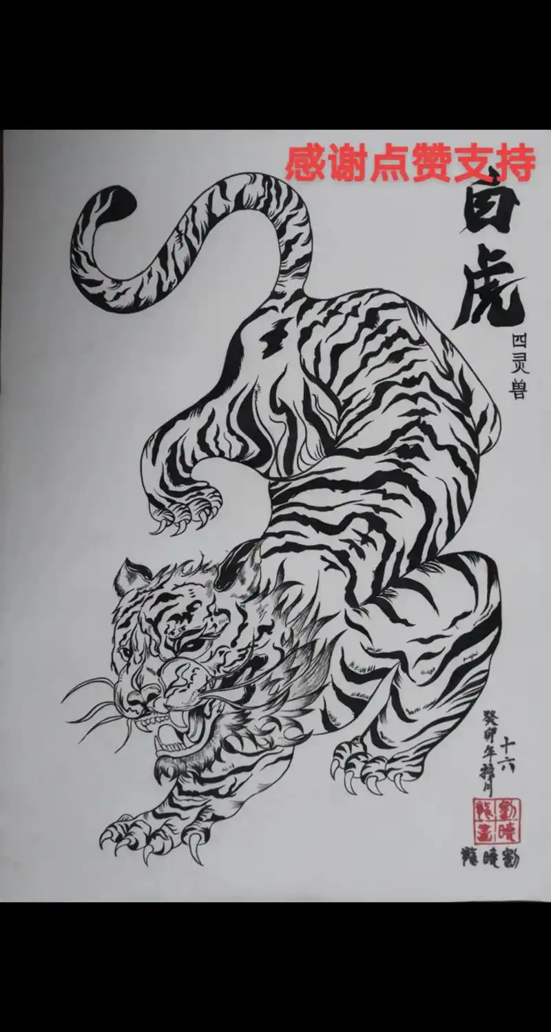 想画就画 四灵兽—白虎 - 抖音