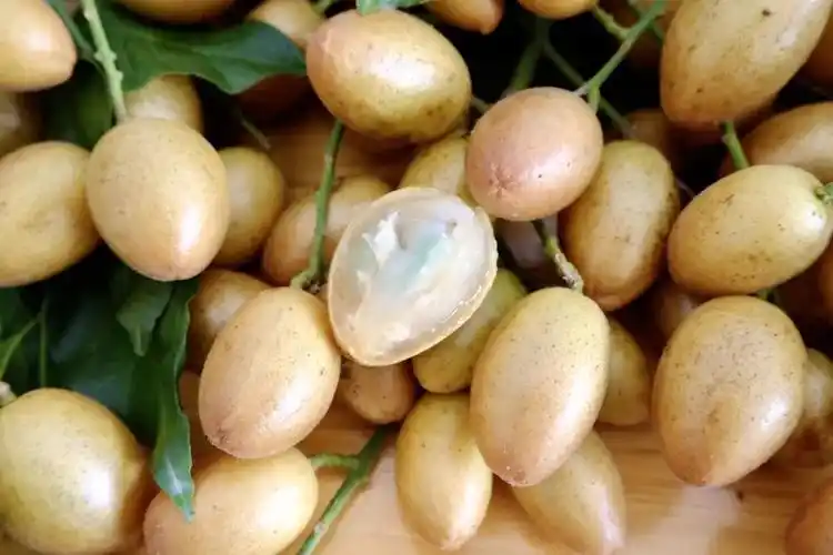 又靓又正!温泉镇南星村鸡心黄皮上市啦!(内附购买方式)