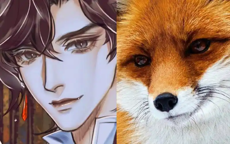 关于花城其实是狐狸这件事