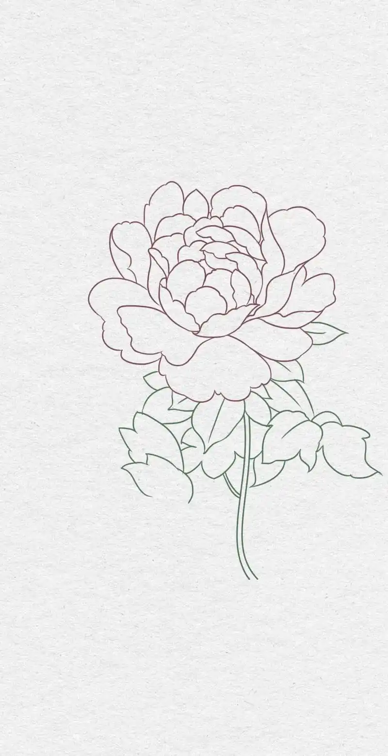 一看就会的简笔画.#原创作品 怎样画一朵漂亮的牡丹花9696 - 抖音