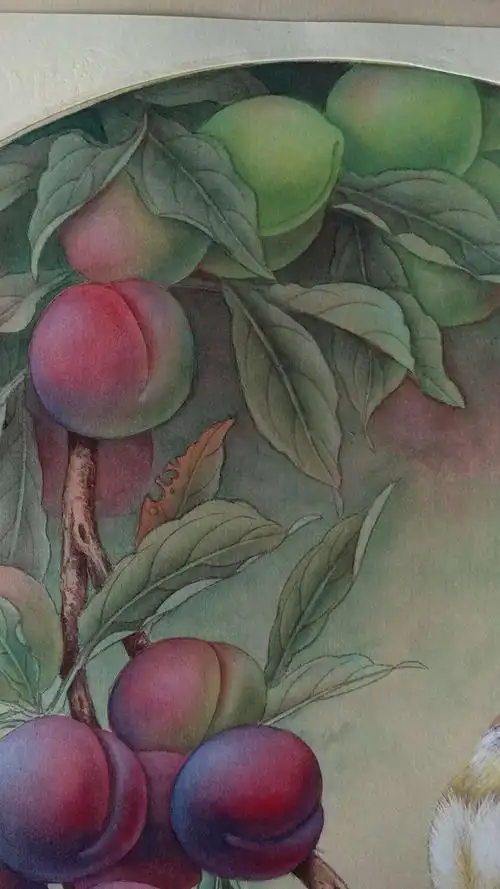 陈松岩老师的公开课 ——— 李子的画法再次返场(2019.03.