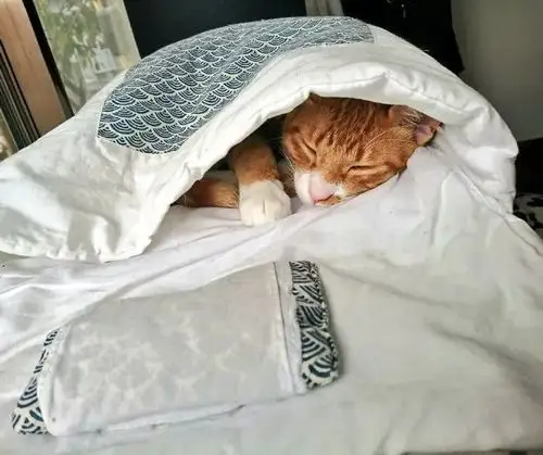 就说冬天了,进被窝睡觉才是正经事儿. 对,再加上暖气.