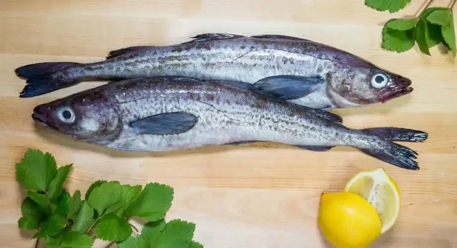 阿拉斯加狭鳕产品供不应求,部分订单推迟至明年