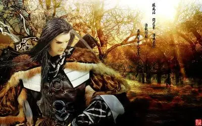 飒风沾,问途寒,谁与共饮,谁敢挡(闯)关?燕戟归命人不还.