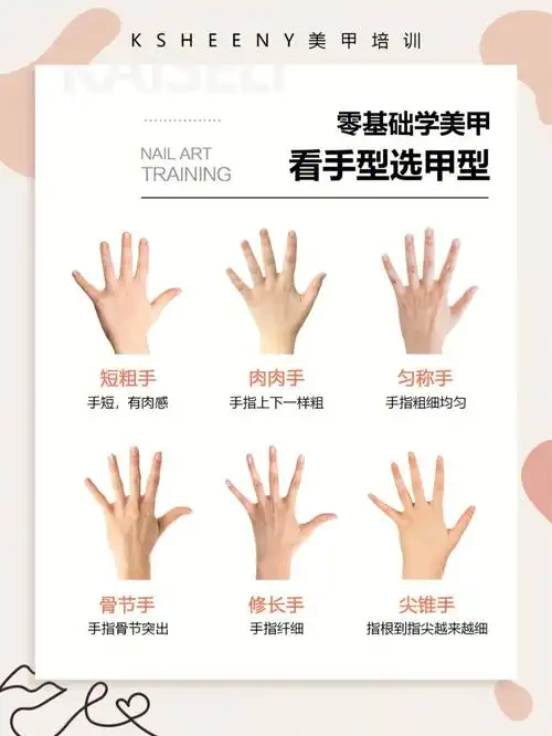 美甲基础理论看手型选甲型六种甲型特点