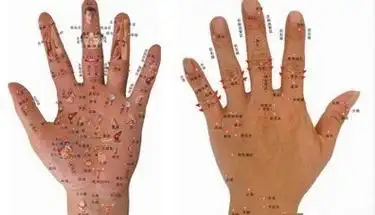 女子左手掌心有痣代表(女子左手掌心有痣代表什么图解)