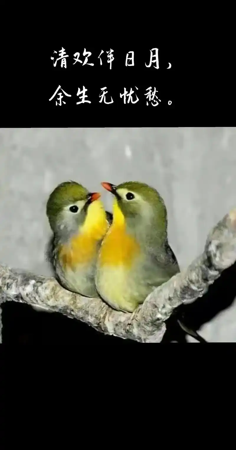 最美的风景不在终点,而是在路上 #看动物世界品百味人生 # - 抖音