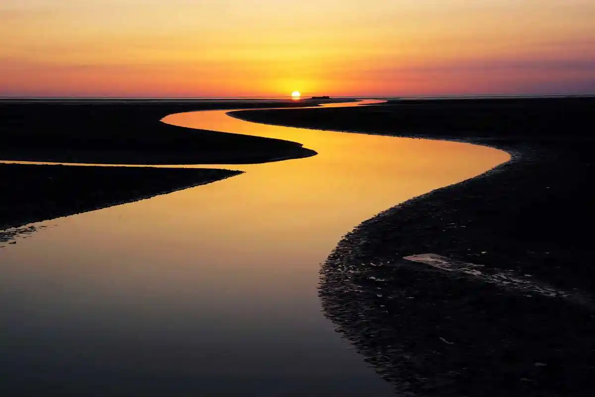 入海口黄河的入海口