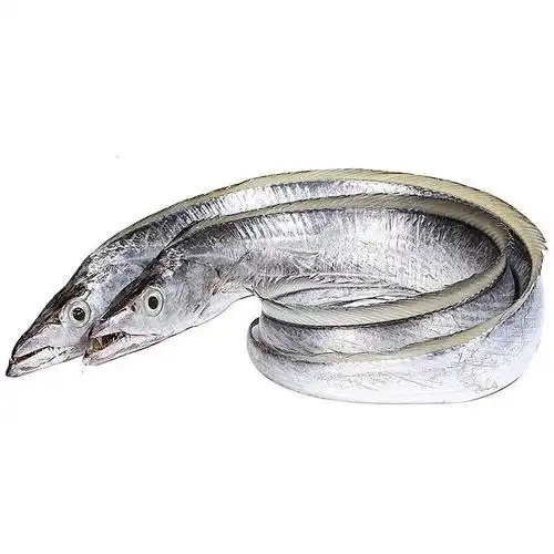 深海带鱼新鲜冷冻整条大舟山大带鱼鲜活水产整箱鱼 5斤