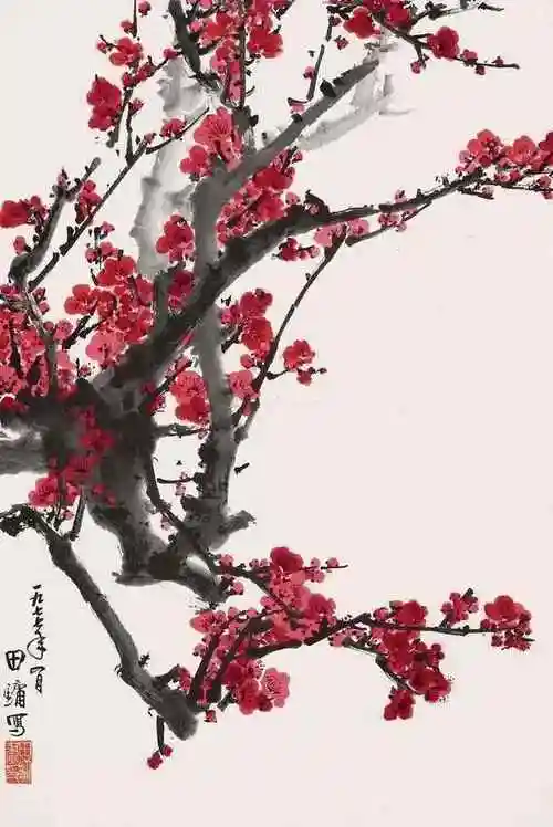 国画花鸟,太养眼了!