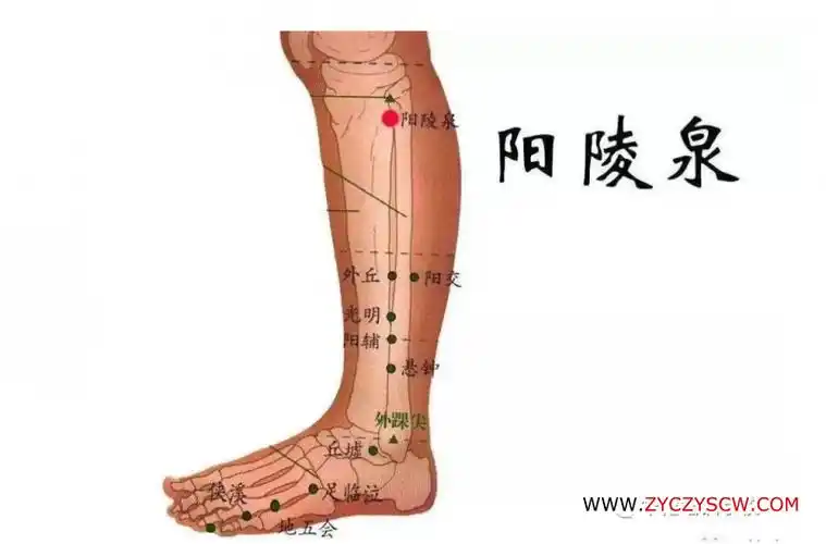 湿头痛关键在于祛脾湿,建议艾灸脾经的"三皇穴":阴陵泉,地机,三阴交