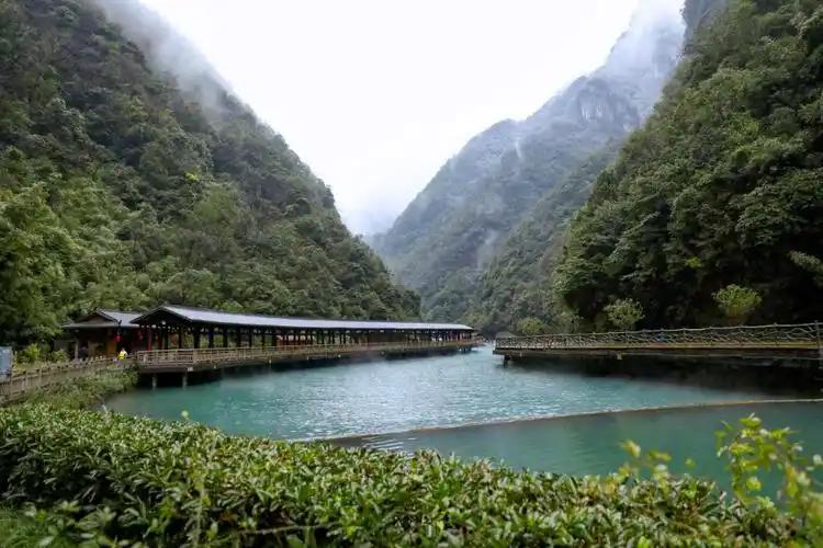 南川区神龙峡2023年第十届年猪文化节正式开启