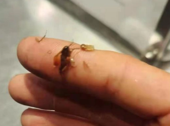 先生在东百元洪城1点点店内购买的奶茶中吃到一厘米长的黑色虫子