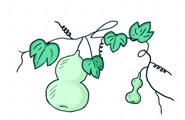 手绘绿色生长的葫芦