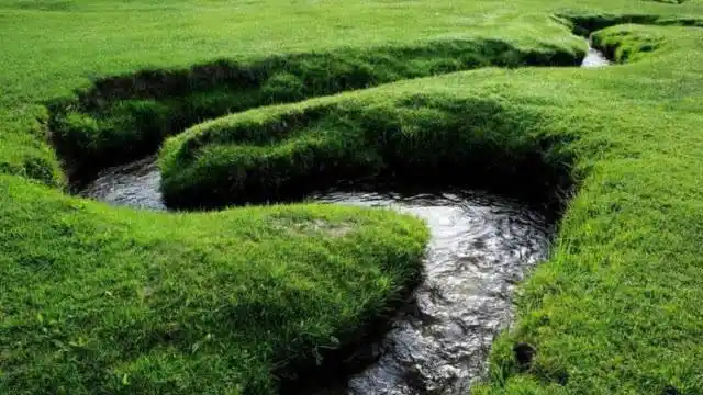 世界最窄的袖珍河,最窄处4厘米,小鱼被卡住,放本书便成桥!