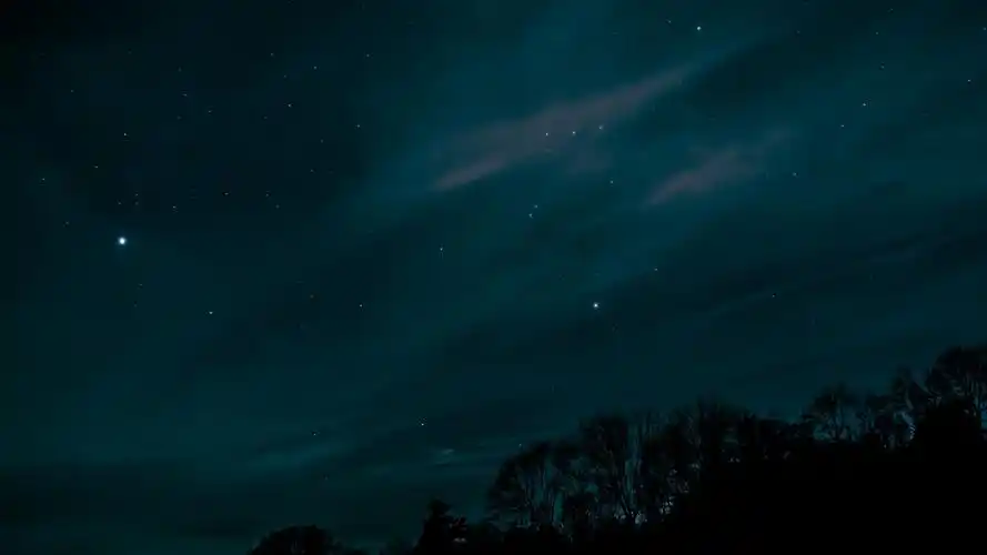 壁纸 星空,天空,夜晚,树木,剪影 3840x2160 uhd 4k 高清壁纸, 图片