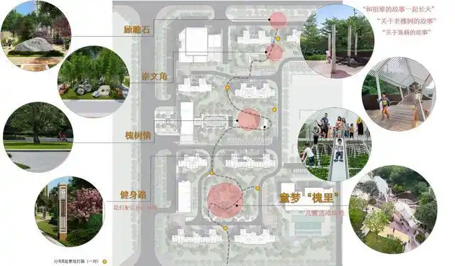 文化脉络分析图