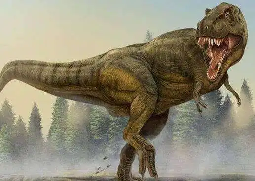 世界上最大的肉食恐龙 棘龙才是肉食恐龙界中的一哥