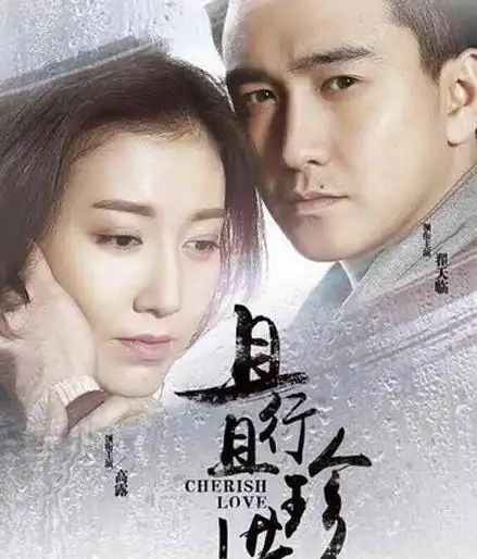 【图】电视剧且行且珍惜分剧情介绍 女主角在不幸中遇良缘收获幸福