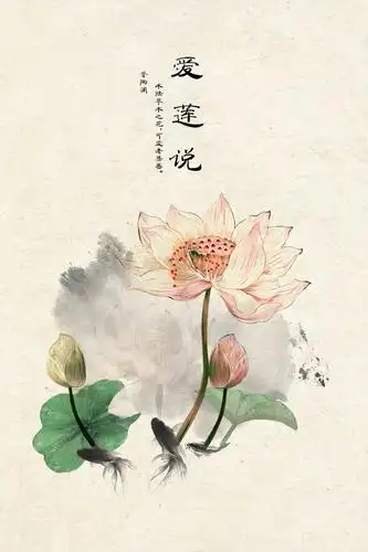 中国风荷花素材