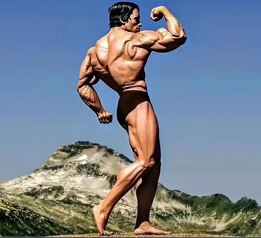 遇见了神.#阿诺施瓦辛格 #健美之神 #自律 #奥林匹亚先生 - 抖音