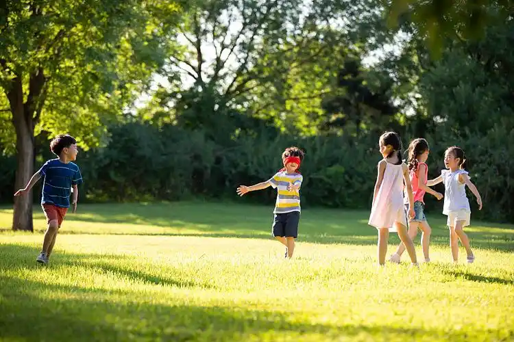 快乐的儿童在草地上玩捉迷藏图片
