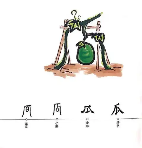 汉字娃娃图图姐姐带你了解汉字那些事儿瓜豆