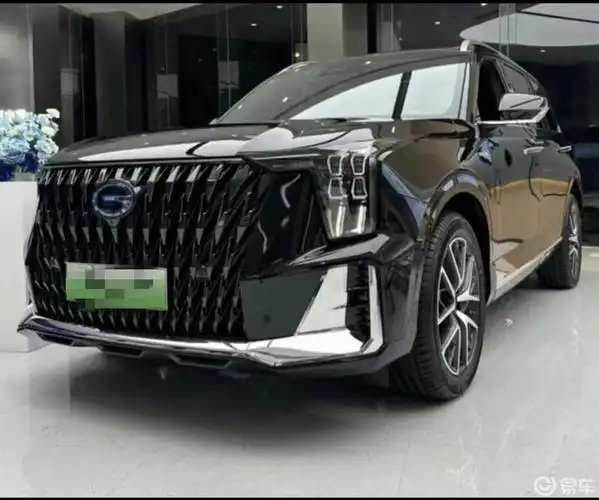 广汽传祺es9购车感受与缘分_传祺es9社区_易车社区