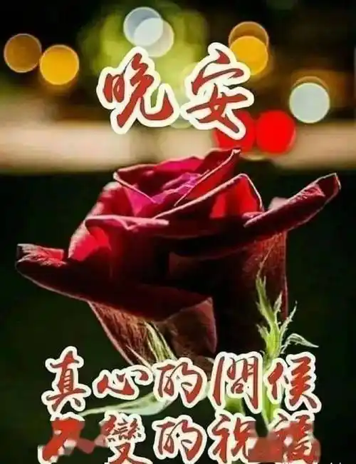 晚上好温馨祝福语图片晚安心语正能量暖心问候语录大全