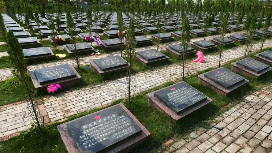 《回国,回乡,苏区行》