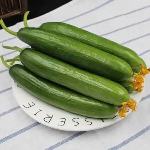 鲜故事小黄瓜水果黄瓜新鲜5斤包邮青瓜生吃荷兰黄瓜无刺小黄瓜