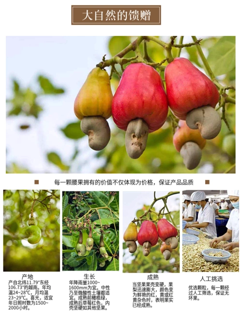 新货越南腰果仁净重500g/1000g带皮熟腰果原味批发盐焗干果坚果