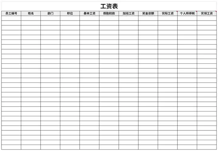 正规工资表免费下载_正规工资表excel模板下载-华军软件园
