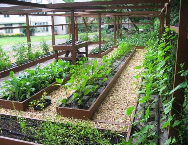 菜地设计合集:庭院景观也可以用菜地来打造,既是菜园也是花园