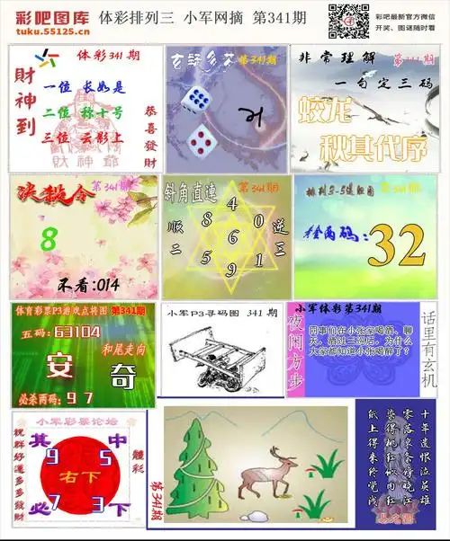 体彩p3小军网摘版